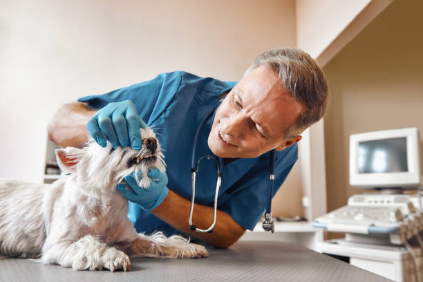 Best Emergency Dentist for Special Needs Patients in Oradell, NJ